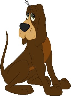 bruno cinderella movie cartoon history famous dog ark animal centre