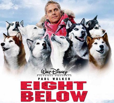 dewey eight below movie true story history famous brave dog ark animal centre