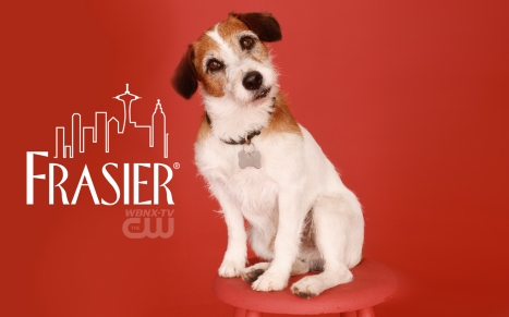 eddie terrier frasier sitcom tv series famous dogs history ark animal centre