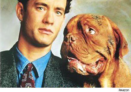 historys famous dogs ark animal centre rescue shelter turner and hooch