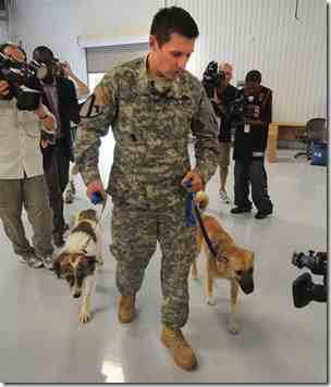 Most_Heroic dog war dog target famous dog history ark animal centre