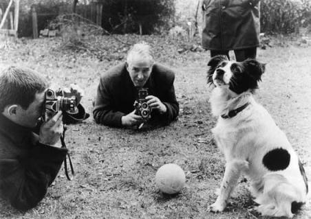 Pickles Jules Rimet trophy South London Football World Cup been stolen in England in 1966 famous dog ark animal centre