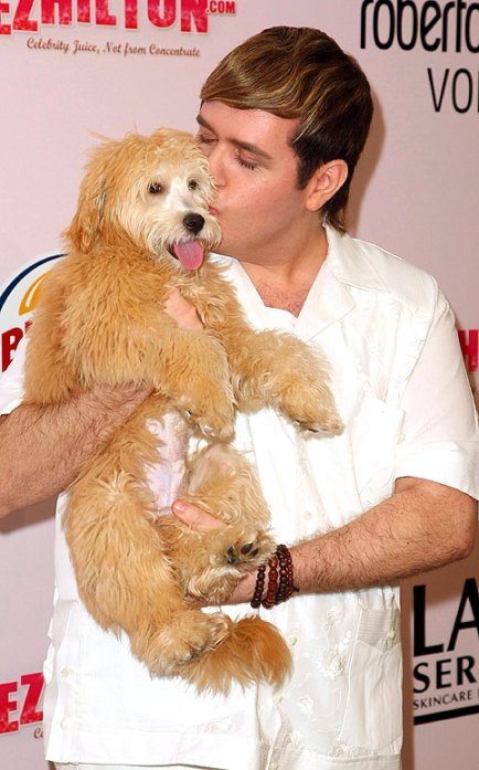 teddy perez hilton dog celebrity historys famous dog ark animal rescue centre shelter