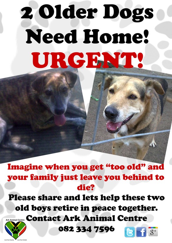 Charlie and Percy Urgent Poster Ark animal centre rescue welfare charity work