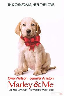 Marley and me book movie history famous dog ark animal centre
