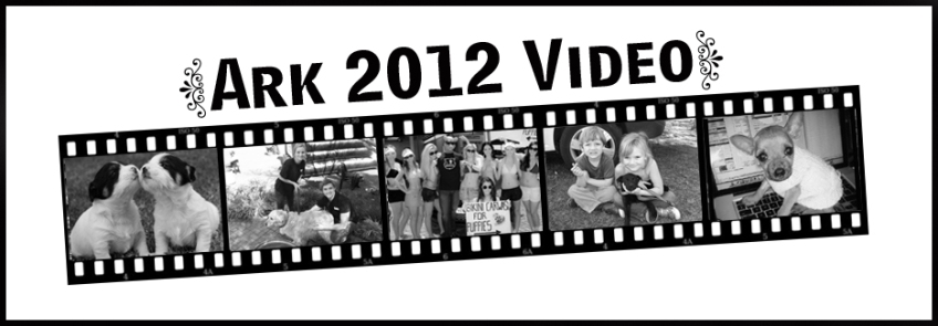 ark video blog picture cover post copy