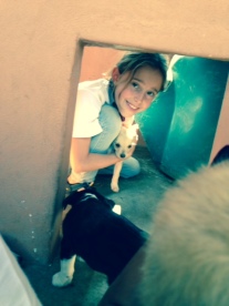 Crawford Preparatory School visit to puppy shelter johannesburg