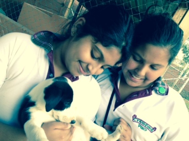 Crawford Preparatory students visit Ark Animal Puppy Shelter