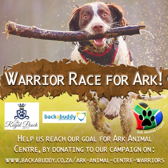 Warrior race for ark animal centre by royal pooch and co grooming
